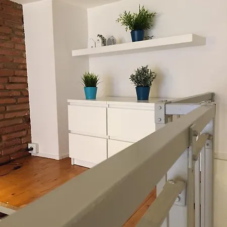 Appartement Le Petit Moulin, Duplex Hypercentre